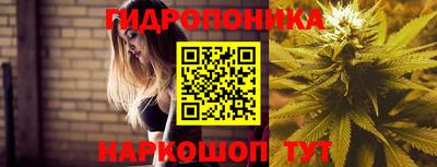 a pvp Донецк