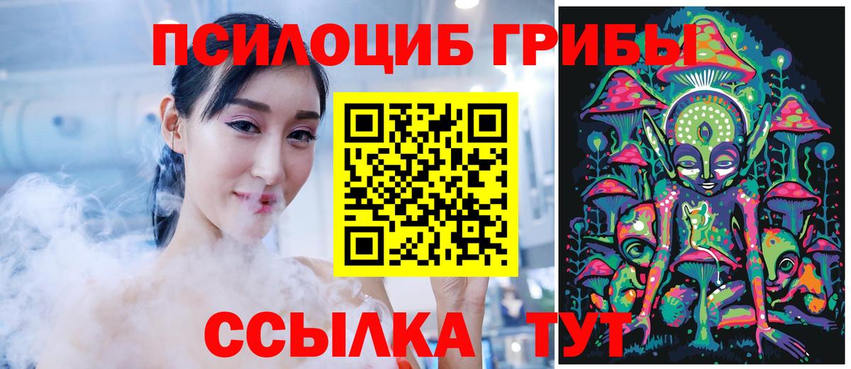 Псилоцибиновые грибы Cubensis  Вход с VPN  Мытищи 