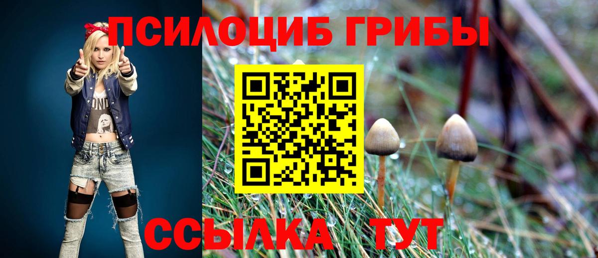 Галлюциногенные грибы Cubensis Мытищи